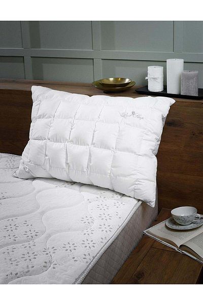 BEST SLEEP Perna Anatomica, Best Sleep, Silver, fibra siliconata 50x70 cm
