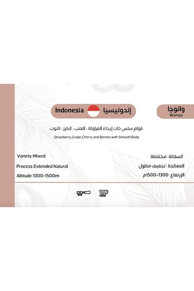 GOLDEN CLOUD قهوة مختصة اندونيسيا وانوجا - تجفيف مطول | قهوة مميزة