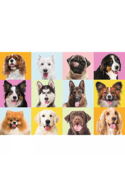 Trefl PUZZLE 60 CUTE DOGS