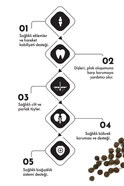 Pro Performance PUPPY DOG ORTA VE BÜYÜK IRK SOMONLU VE YABANMERSİNLİ 12KG