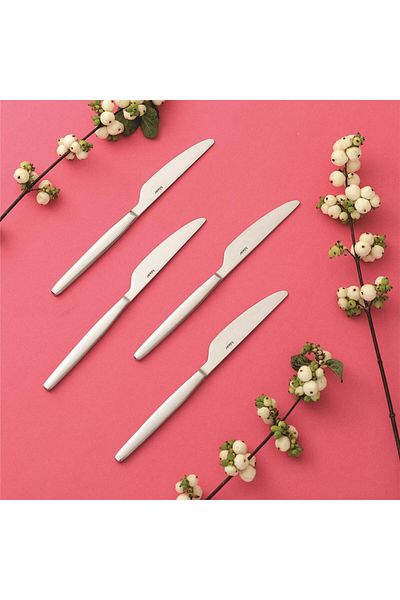 Hisar Optima Lidya 12 Piece Dessert Knife