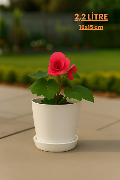 Melkan Home Modern Begonya Saksı 2,2 Litre Tabaklı Çiçek Saksısı – İç ve Dış ...