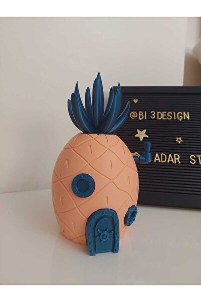 NadarStudio سنجابوب هاوس كويندي