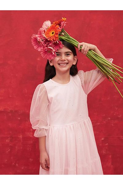 LC Waikiki Lcw Kids Pink Crew Neck Long Sleeve Girls Tulle Dress