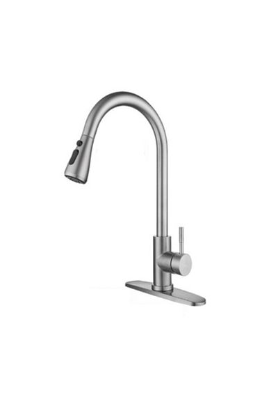Adsinio Kitchen faucet, Adsinio, Pull-out shower, Two spray modes, Stop button, with base plate, Silver