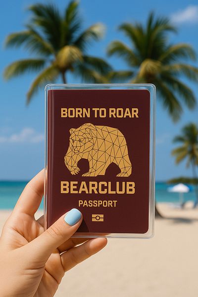sağlıkçı shopping trend aksesuar 1Pc Universal Bear Club Printed Passport Case Transparent Waterproof Pvc Passport Protection Case