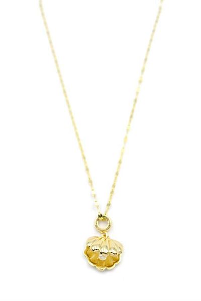 MBB ETİCARET Clamshell pearl necklace - gold