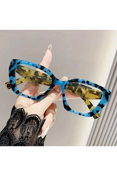 Accessories Vanilla Avenue 2025 Fashion Unisex Big Frame Brown Leopard Bone Blue Retro Accessory Glasses