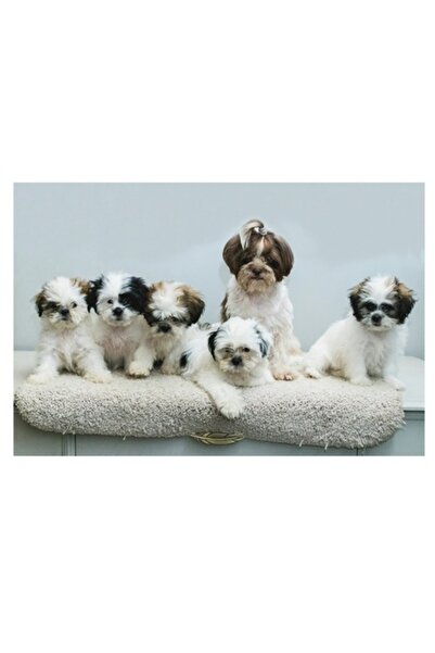 OEM Tablou Canvas, "Cinci catelusi adorabili pe covor alb", 100 x 70cm