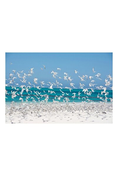 OEM Tablou Canvas, "Dansul pescarusilor deasupra plajei insorite", 90 x 50cm
