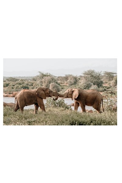 OEM Tablou Canvas, "Elefanti in dansul naturii salbatice", 100 x 70cm