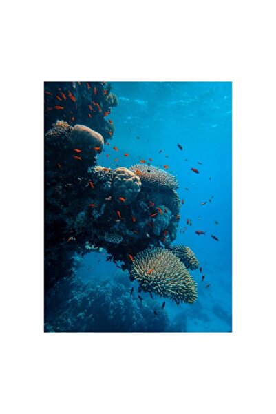 OEM Tablou Canvas, "Reef vibrant in adancurile oceanului", 100 x 150cm