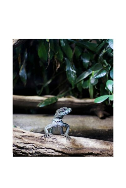 OEM Pictură pe pânză, „Șopârlă care își stăpânește teritoriul”, Șopârlă, Ramu...