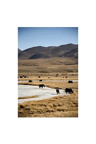 OEM Tablou Canvas, "Iarna in stepele mongole misterioase", 50 x 90cm