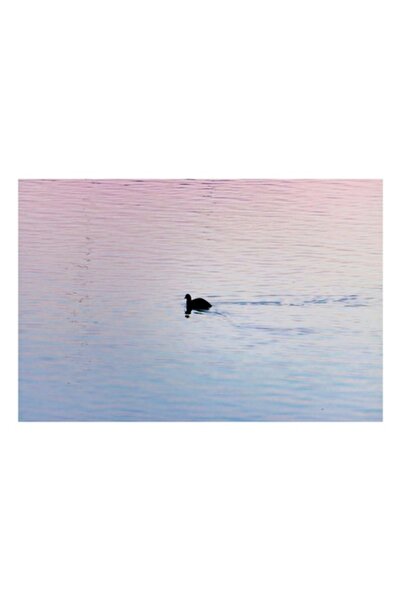 OEM Pictură pe pânză, „Silueta unei rațe la apus”, Seninătate, Reflexii, Amur...