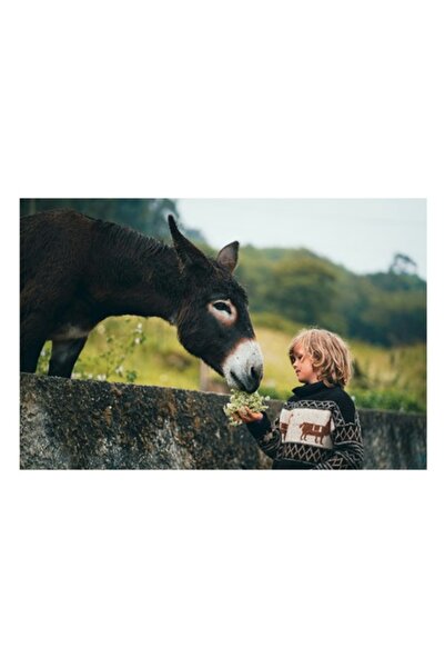 OEM Tablou Canvas, "Baiatul si magarul prieteni de nadejde", 70 x 50cm