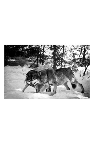 OEM Tablou Canvas, "Lupii prieteni in zapada alba", 100 x 70cm