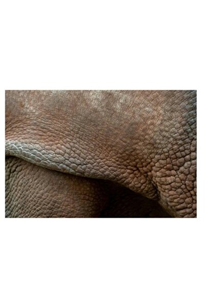 OEM Tablou Canvas, 'Textura pielii de elefant batran', 50 x 50cm