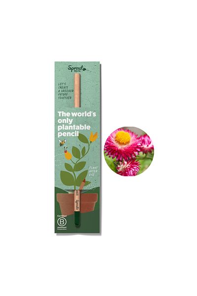 Natural Plantable Pencil Sprout, Eternal Flower