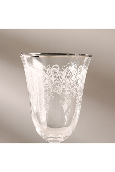 Aryıldız Platinum Water Set 25 Pieces