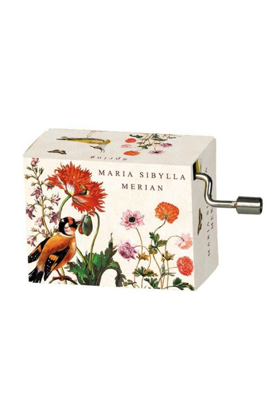 Fridolin Flasneta Maria Sibylla Merian (păsări), Izvorul Vivaldi