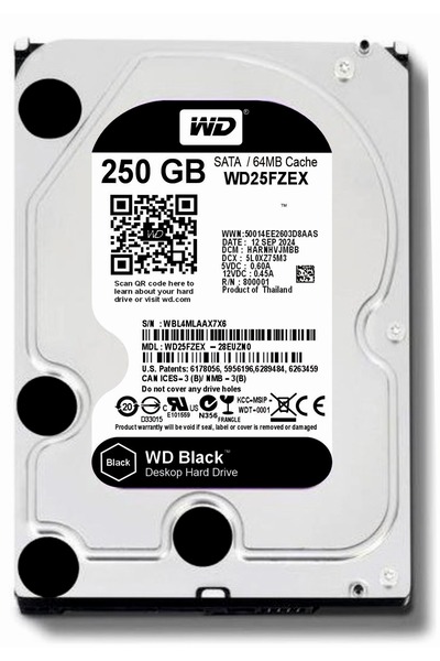 DİSK BANK 250 GB WD Black 3.5 Harddisk (MASAÜSTÜ BİLGİSAYAR OYUN&PERFORMANS İÇİNDİR. )