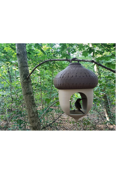 The Great Wave Palamut Şeklinde Premium Sincap/Kuş Evi Dış Mekan Dayanıklı