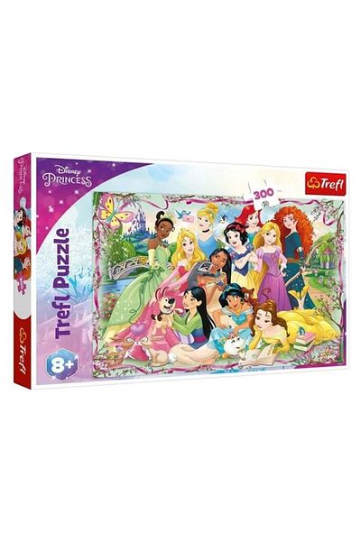 divendi-ro Princess Puzzle, 300 pieces, with Elsa, Anna and 9 other Princesses