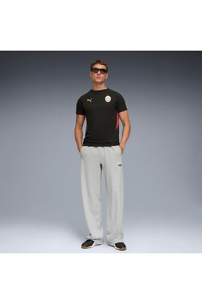 Puma Galatasaray Evostripe Men's T-Shirt