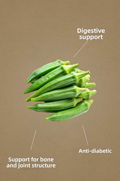 Mecitefendi Okra Seeded Tea (Summered Bags of 40)