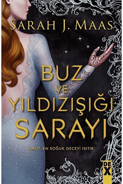 Dex Yayınevi Buz Ve Yıldızışığı Sarayı