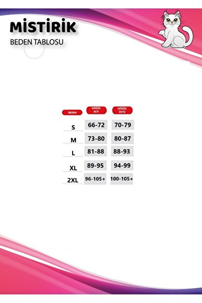 MİSTİRİK Panax Model Firming and Lifting Padded Bustier Corset Skin Color