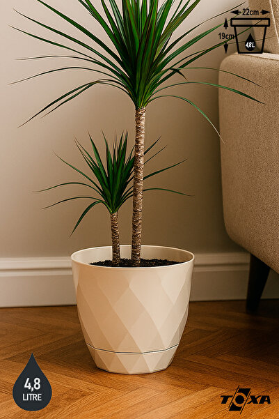 ToXA 4,8 Litre Bej Prizma Desenli Tabaklı Plastik Saksı Yakamoz No4 Ø22x19,3cm