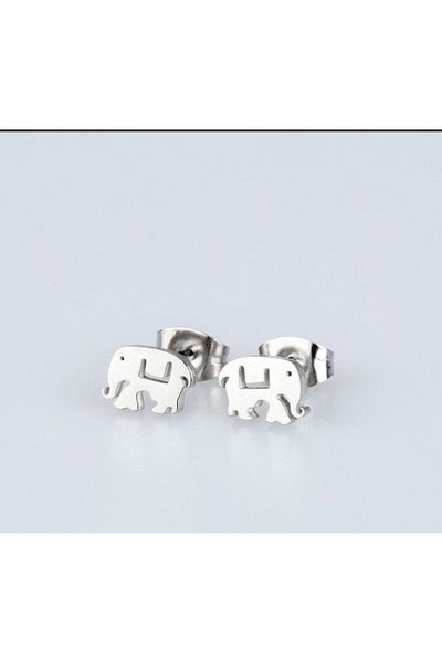 Piercing Market Steel & Silver 1 Pair of No Fade, Tarnish & Gift Earrings with Steel Studs