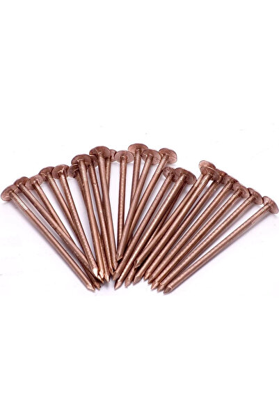 D GARDEN BAKIR ÇİVİ 3CM (25ADET)