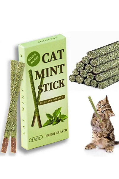 ego home 6 Adet Doğal Matatabi Çubuğu Catnip Stick Kedi Catnip Dalı Cat Mint ...