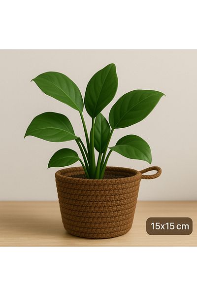 ÖRGÜM Basket Decorative Multi-Purpose Organizer 15X15 cm Plant Not Included