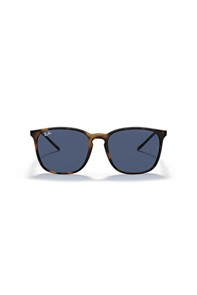 Ray-Ban 0RB4387 710-80 56