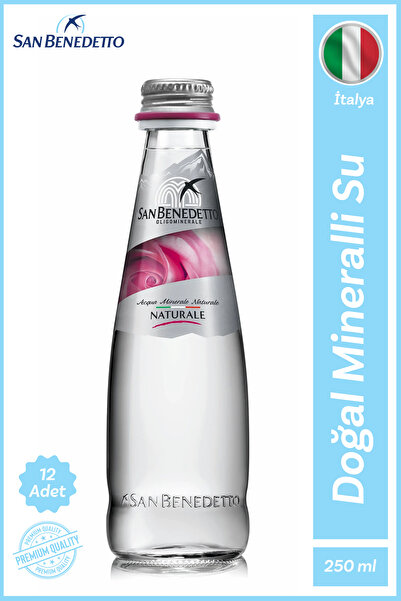 San Benedetto Doğal Mineralli Su 250 ml x 12
