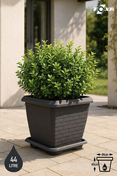 ToXA 44 Litre 44x44x40cm Antrasit Kare Büyük Boy Tabaklı Plastik Hisar Kale S...