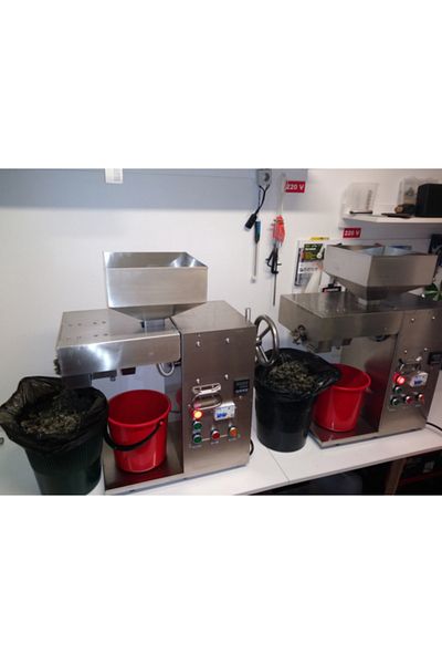 Jobs ahead group Cold Press Oil Extractor Sunflower