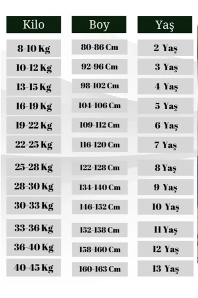 BEBECE KİDS Begonya Bebece Kıds Kuromi Baskılı Kız Cocuk Özel Gün Kutlama Elbiseleri
