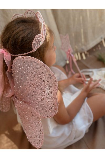 SAKLIDESİGN Hayal Set Crown&Wings&Wings Girl's Birthday Party Set