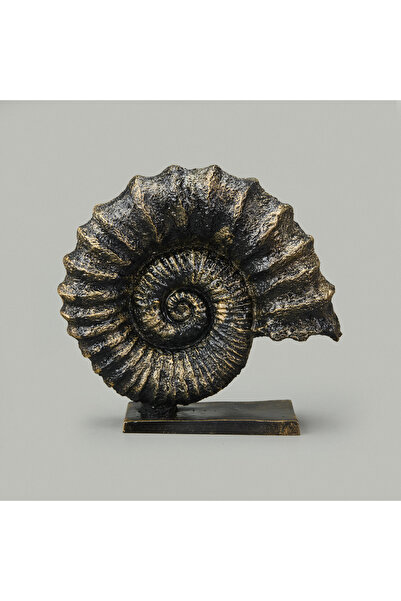 Evidea Deco Deniz Kabuğu Dekor - Gold / Siyah - 30 cm