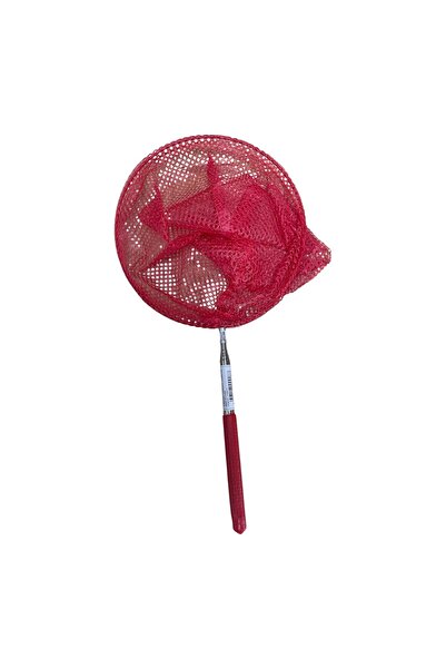 mercedoliveoil Uzuyabilen küçük deniz filesi