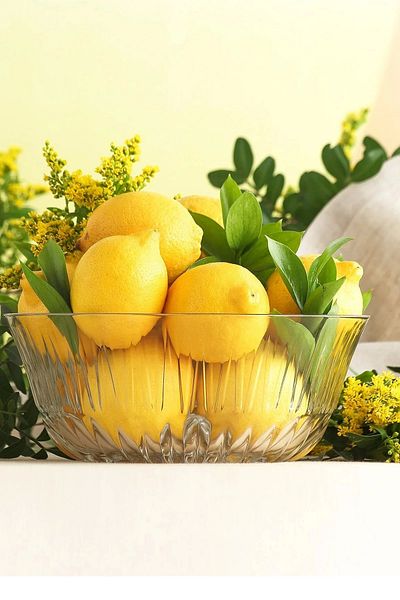 LAV Alinda Single Large Size Salad Bowl