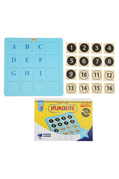 Pal Curious and Genius Numbers