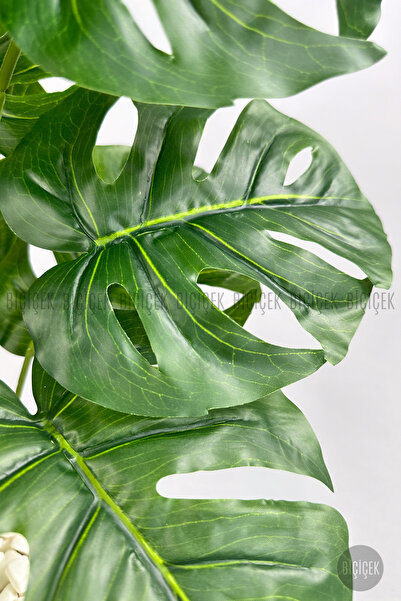 BİÇİÇEK Yapay Çiçek Salon Bitkisi Monstera Deve Tabanı Kırıkbeyaz Renk Yalı Saksıda