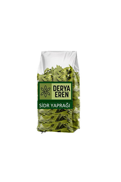 Derya Eren Sidr Yaprağı (Zizyphus Spina),Arabistan Kirazı Yaprağı, 250gr, Der...