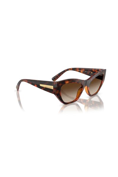 Vogue 5607S W65613 53 Women's Sunglasses